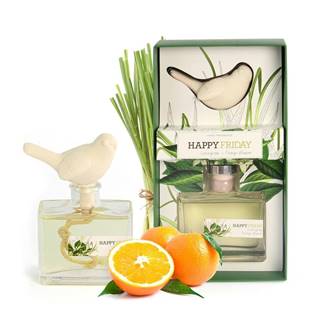 HF Living Difuzér s vôňou citrónovej trávy  Fragrance, 100 ml, značky HF Living