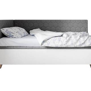 ArtIdz Čalúnená posteľ SOLO - FIDO | sivá 80 x 200 cm