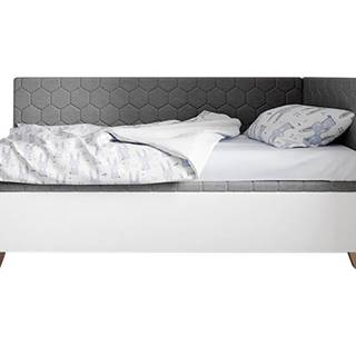 ArtIdz  Čalúnená posteľ SOLO - FIDO | sivá 80 x 200 cm, značky ArtIdz