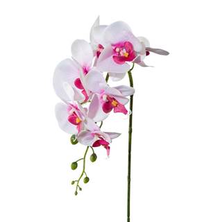 Rappa Umelá Orchidea ružová, 86 cm 305303-10, značky Rappa