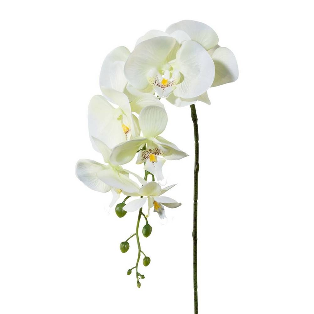 Ardes Umelá Orchidea biela, 86 cm 305303-50, značky Ardes