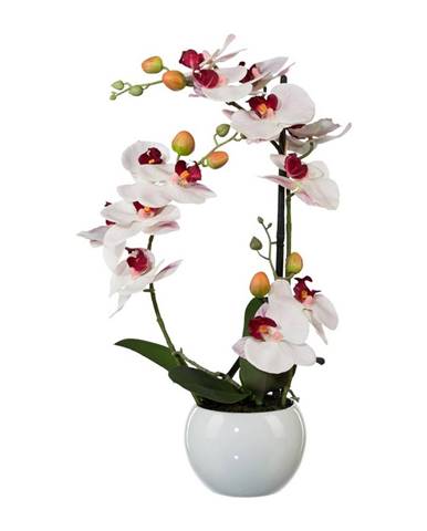 Umelá Orchidea v keramickom kvetináči biela, 42 cm 1118033-10