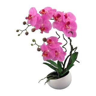 Domarex Umelá Orchidea v kvetináči ružová, 42 cm 115812-80, značky Domarex