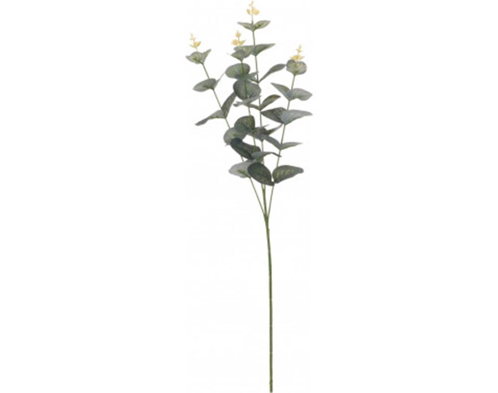 ASKO - NÁBYTOK Umelá kvetina Eukalyptus vetva, 65 cm, značky ASKO - NÁBYTOK