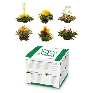 Feelino  Čajové kvety, 6 rôznych odrôd, jednotlivo balené, veľmi produktívne, značky Feelino
