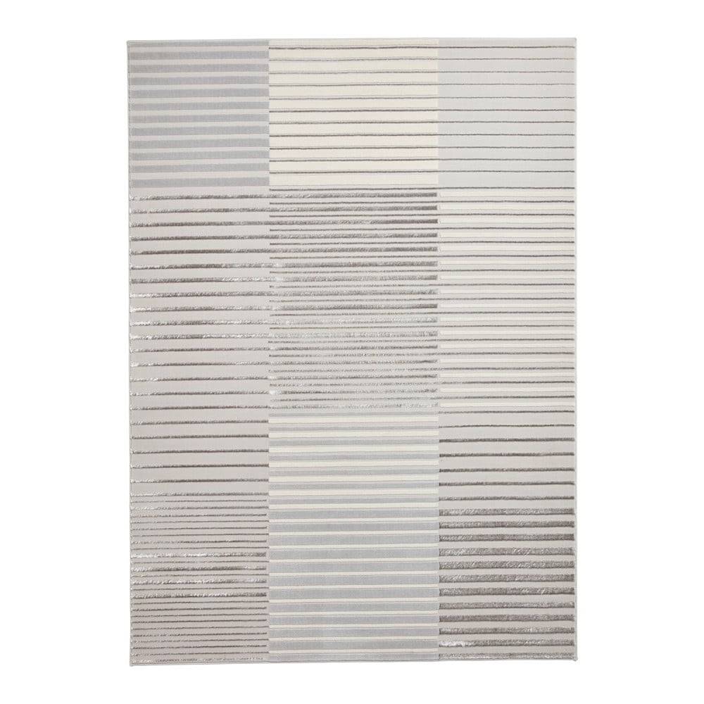 Think Rugs Sivý/béžový koberec 220x160 cm Apollo - , značky Think Rugs