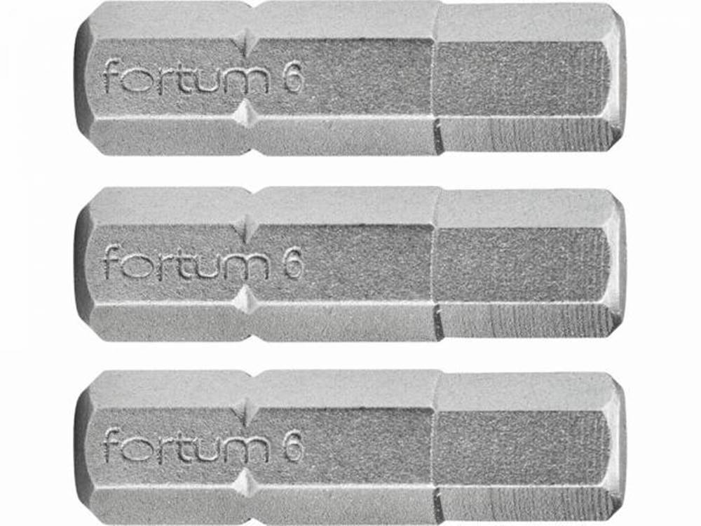 FORTUM Bity IMBUS H5.0x25mm, 3ks, S2, značky FORTUM