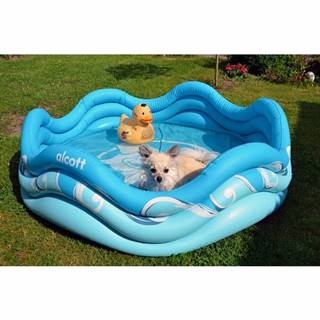 Bellatex Alcott Nafukovací bazén pre psov, 121,9 x 40,6 x 121,9 cm, modrá, značky Bellatex