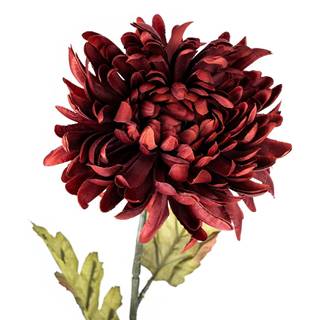 Bellatex Umelá chryzantéma, v. 74 cm, vínová, značky Bellatex