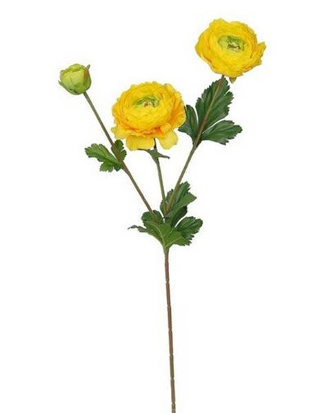Váza Gardenius