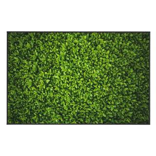 Oyo home Zelený koberec  Ivy, 100 x 140 cm, značky Oyo home