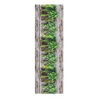 Floorita Hnedo-zelený behúň  Aromatica, 58 × 280 cm, značky Floorita