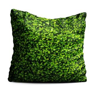 Oyo home Zelený polštář  Ivy, 40 x 40 cm, značky Oyo home