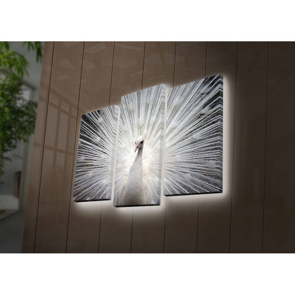 Ledda Osvetlený 3-dielny obraz Wallity Peafowl, značky Ledda
